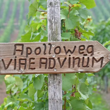 Gast Und Weinhof Beim Schneemann Pensjonat Valwig