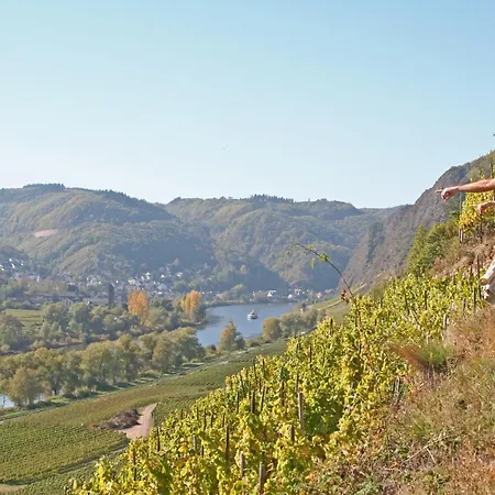 诗尼曼加斯特与韦恩霍夫旅馆 招待所 3*