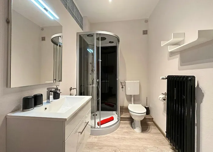 招待所 诗尼曼加斯特与韦恩霍夫旅馆 3*