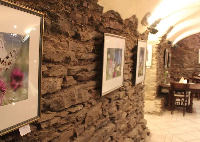 诗尼曼加斯特与韦恩霍夫旅馆