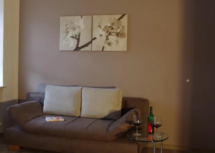 招待所 诗尼曼加斯特与韦恩霍夫旅馆