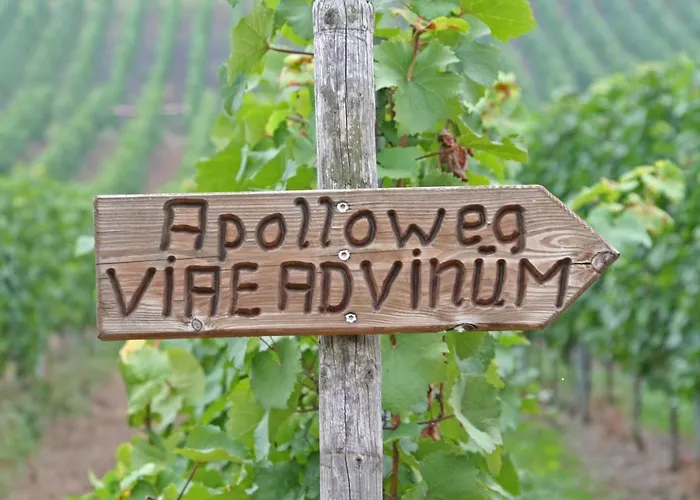 诗尼曼加斯特与韦恩霍夫旅馆 招待所 瓦尔维熙