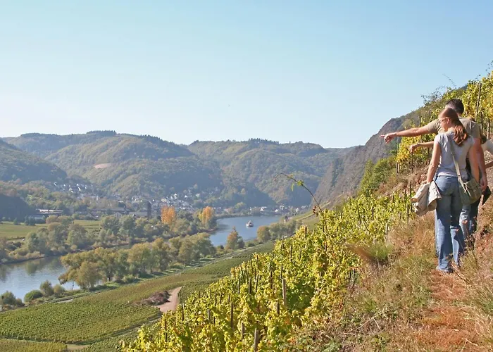 诗尼曼加斯特与韦恩霍夫旅馆 招待所 3*